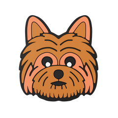 Budz | Terrier